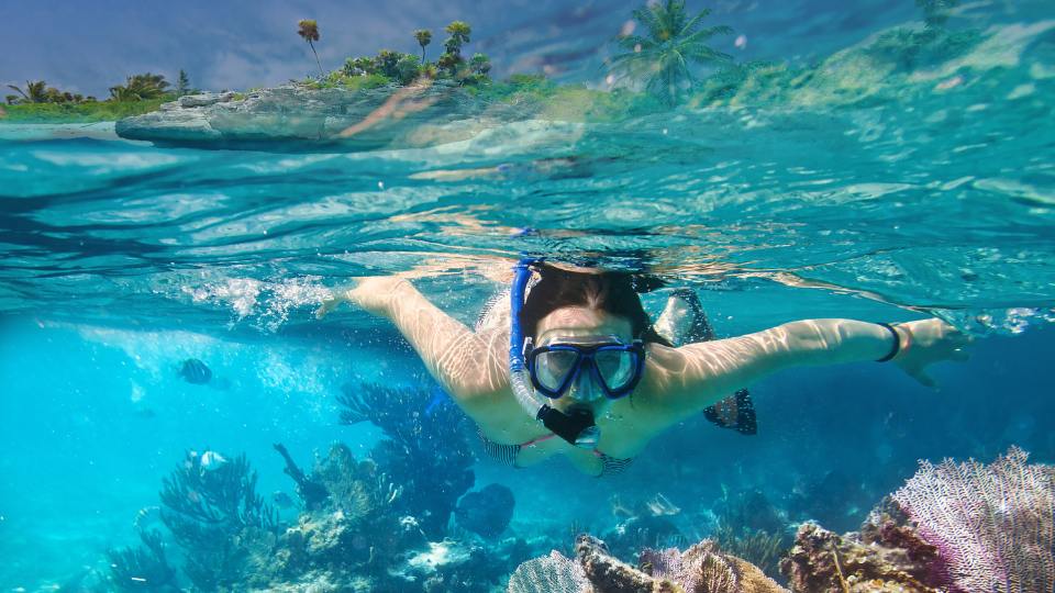10 Best Places to Go Snorkeling in California